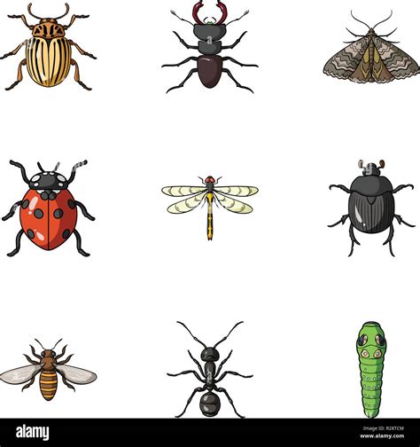 Insects Set Icons In Cartoon Design Big Collection Of Insects Vector