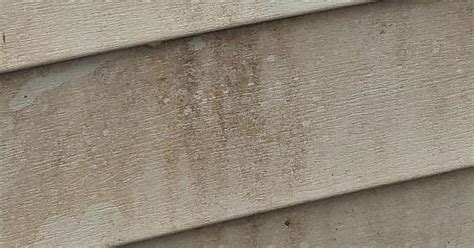 Vinyl Siding Stain Album On Imgur