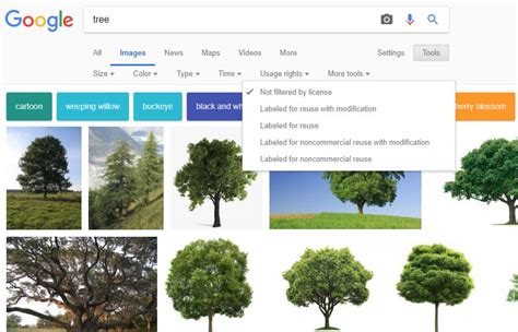 Using Google Images - Oculus Studios Photography
