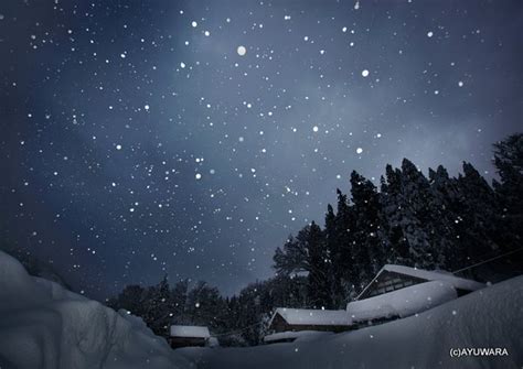 夜に降る雪