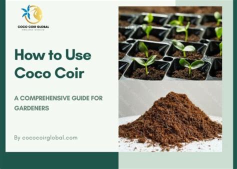 How To Use Coco Coir Using Coco Coir In Gardening