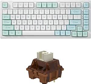 Amazon Yunzii Yz Hot Swappable Wireless Gaming Mechanical Keyboard Gateron G Pro