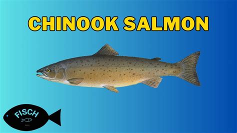 How To Get Chinook Salmon In Fisch Chinook Salmon Fish Location