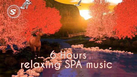 6 Hours Relaxing Spa Music, Sleep Music, Stress Relief, Meditation ...