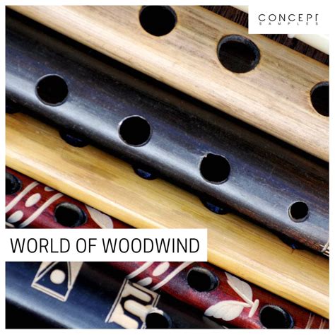 Download Concept Samples World Of Woodwind WAV - Sample Drive