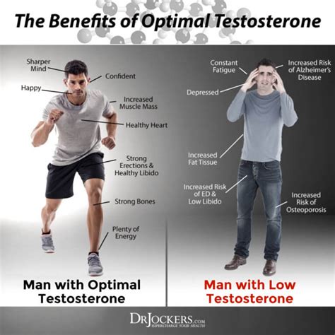 Ways To Boost Testosterone Levels Naturally Drjockers