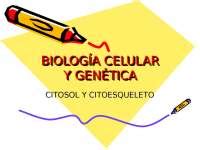 Biología cito esqueleto de las celulas animales Docsity