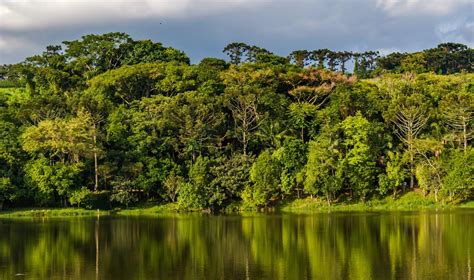 Turismo E Viagem Para Esp Rito Santo Do Pinhal F Rias Em