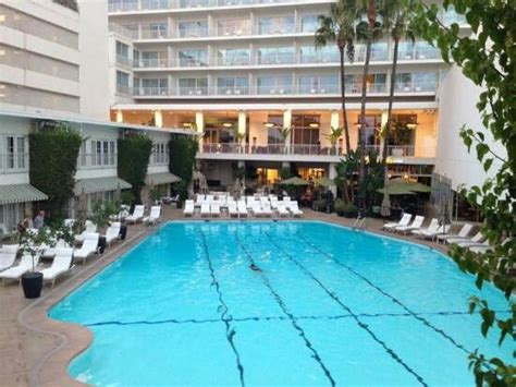 The Beverly Hilton Pool | Los angeles attractions, Los angeles city ...