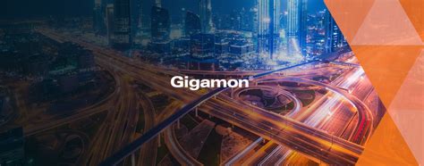 Ingram Micro é a nova distribuidora da Gigamon no Brasil