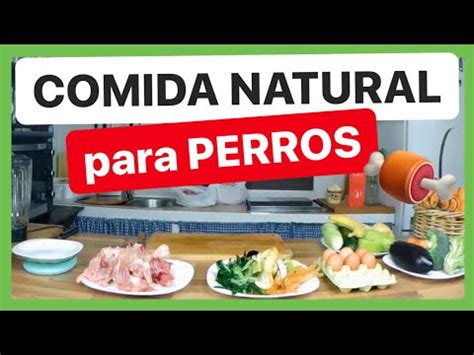 Cuantos Dias Puede Durar Un Perro Sin Comer El rincón de Isi