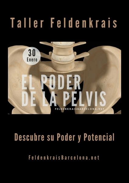 Taller Intensivo El Poder De La Pelvis ～ Feldenkrais Barcelona