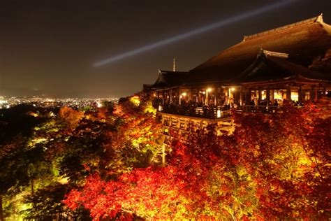 Kiyomizu-dera Temple Night Illumination and Night Viewing