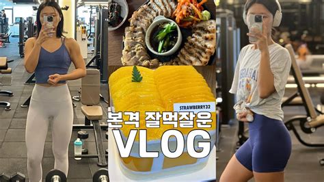 Vlog 운동복 식단템에 돈 쓰는 일상 잘먹잘운 운동 브이로그 헬스 브이로그 다이어트 브이로그 유지어트