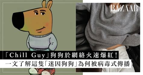 「chill Guy 」意思到底是甚麼？一文了解這隻「迷因狗狗」為何被網民病毒式傳播！