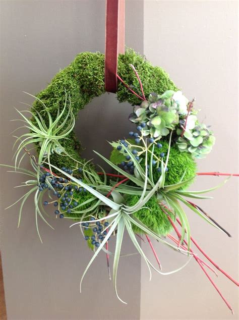 Air Plant Wreath Living Wreath Plant Display Ideas Air Plant Display