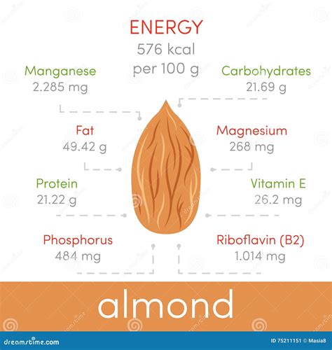 Amandes Infographic Illustration Stock Illustration Du Frais 75211151