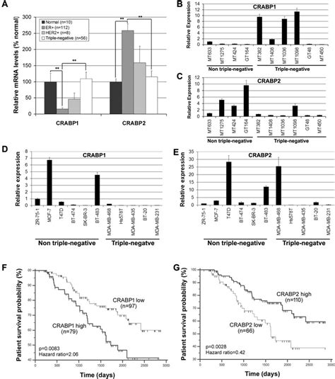 Distinct Mrna Expression Patterns And Prognostic Associations Of Crabp