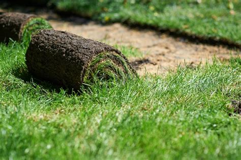 Laying Sod Next to Existing Grass [8 Best Tips] | Pepper's Home & Garden