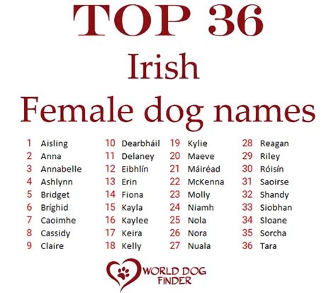 Best Male & Female Irish Dog Names