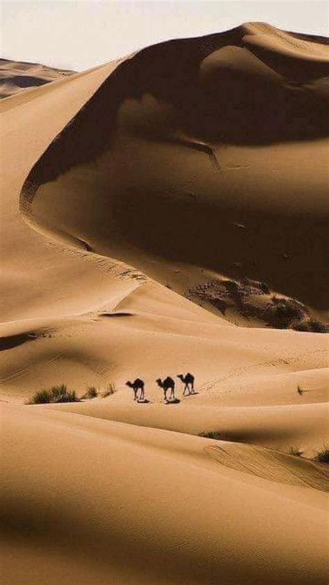 How To Plan A Trip To Merzouga Desert 9 Fun Things To Do In The Sahara