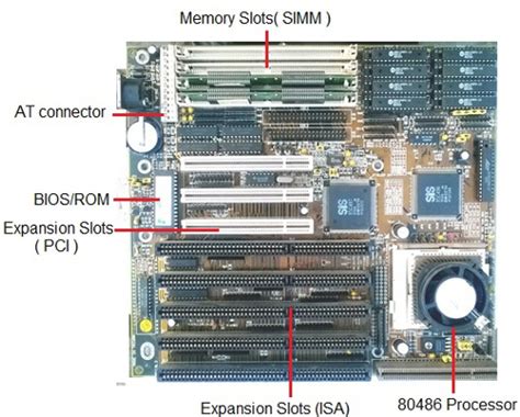 Complete This Description Of The Motherboard Telegraph