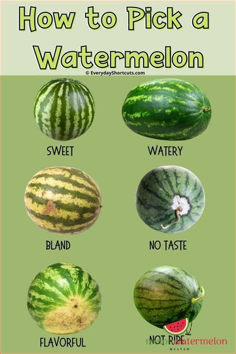 How To Ripen An Unripe Watermelon Tips And Tricks Updated January