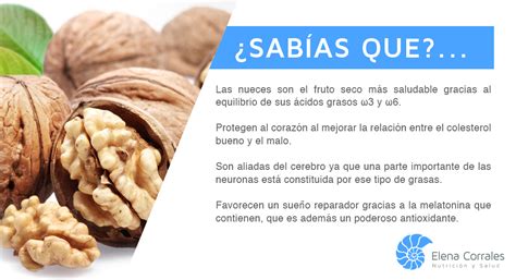 Nueces Blog Elena Corrales Nutrición Y Salud