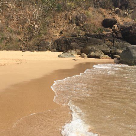 Butterfly Beach Palolem 2018 What To Know Before You Go With