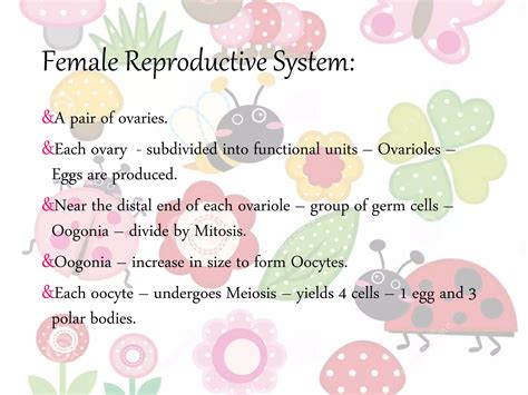 Reproductive System In Insects PPT