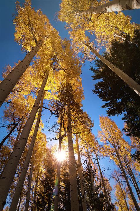 Early Autumn Morning Photograph By Saija Lehtonen Fine Art America