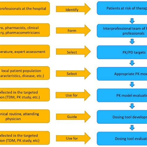 Steps Blue Considered In The Generalised Workflow Development Of A