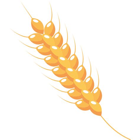 Golden Barley Spike 24091582 PNG