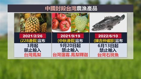 中國613起禁台灣石斑輸入 陳吉仲：擬申訴wto｜四季線上4gtv