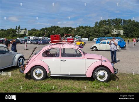 Celle Germany August 7 2016 A Pink Volkswagen Kaefer At The Annual
