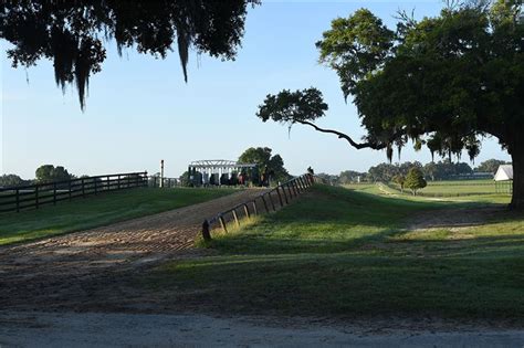 Ocala Stud Thoroughbred Stallion Farm Facilities