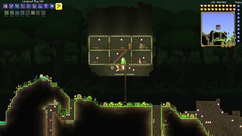 How to get a Hercules Beetle in Terraria - Touch, Tap, Play