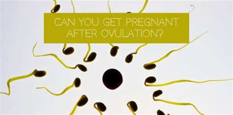 10 Sex Myths Can You Get Pregnant From Swallowing Sperm