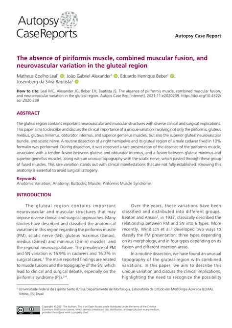 The Absence Of Piriformis Muscle Combined Muscular Fusion And