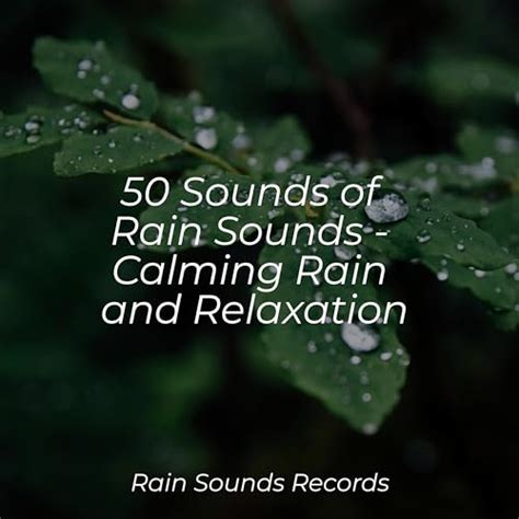 Amazon Musicでsounds Of Nature White Noise For Mindfulness Meditation