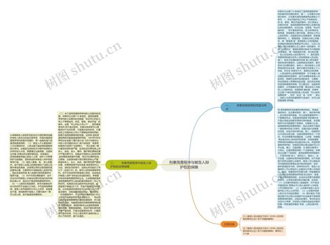 刑事简易程序与被告人辩护权的保障 思维导图模板 Treemind树图