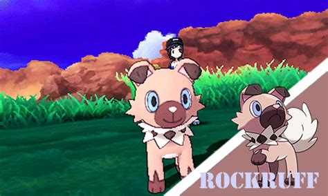 Rockruff イワンコ Wiki •pokémon• En Español Amino