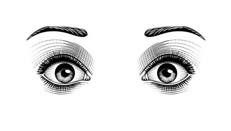 Hand Drawn Woman S Female Sexy Eyes Royalty Free Vector