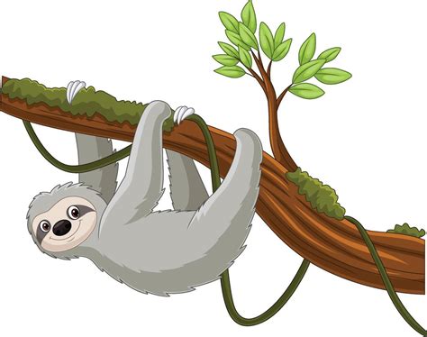 Cartoon sloth hanging on a tree branch 45632922 Vector Art at Vecteezy