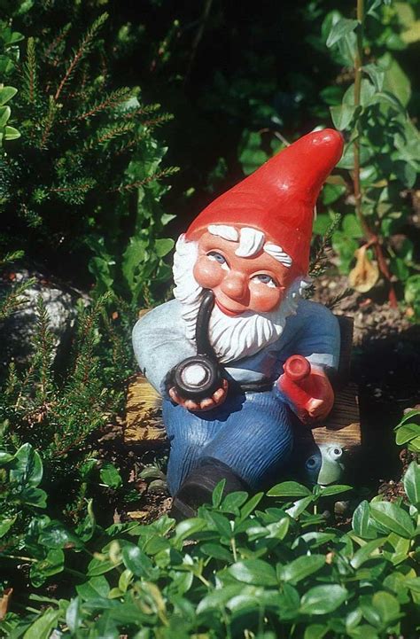 39 Best Crazy Lawn Gnomes Images On Pinterest Elves Funny Garden