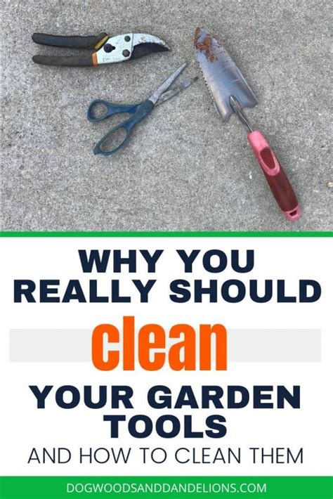 How To Clean Your Garden Tools Dogwoods And Dandelions