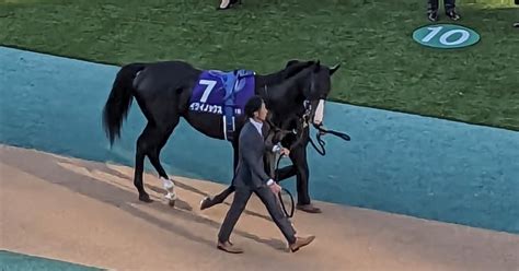 【穴党必見】素人競馬のつぶやき～大阪杯（g1）最終結論～｜つとむ