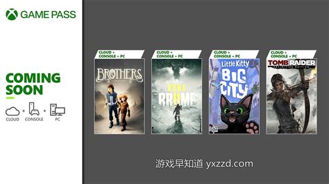 主机版xbox游戏通行证xbox Game Pass 24年5月新增游戏公布 含《星球大战绝地：幸存者》《小猫咪大城市》等6作 游戏早知道