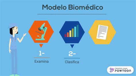 Modelo Biomédico Saúde Assistencial 1library Pt Garden