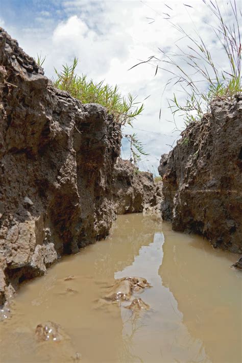 ODPM updates public on Piparo mud volcano - Trinidad and Tobago Newsday